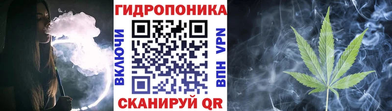 Наркошоп Касли hydra сайт  СК  Галлюциногенные грибы  Гашиш  Меф мяу мяу  COCAIN  Марихуана 