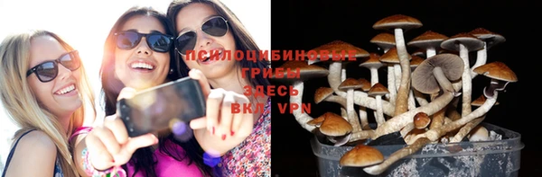 прущие крисы Каменск-Шахтинский