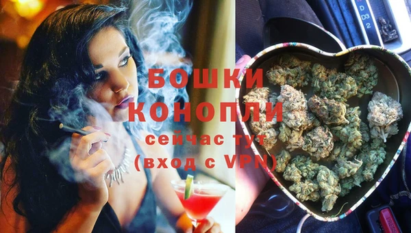 соль ск Каменногорск