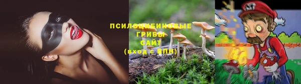 прущие крисы Каменск-Шахтинский