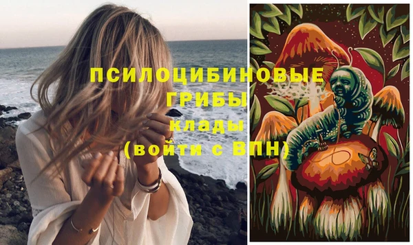 прущие грибы Карпинск