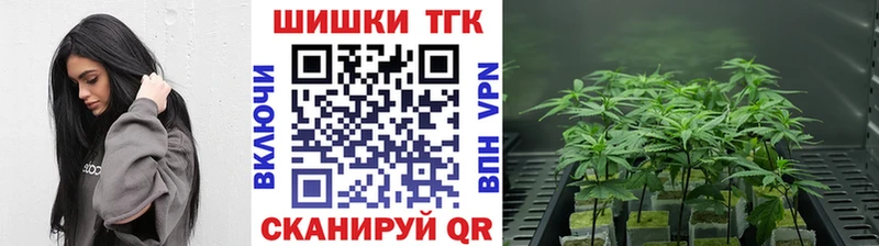 гидра ссылки  Касли  Шишки марихуана Amnesia  наркота 
